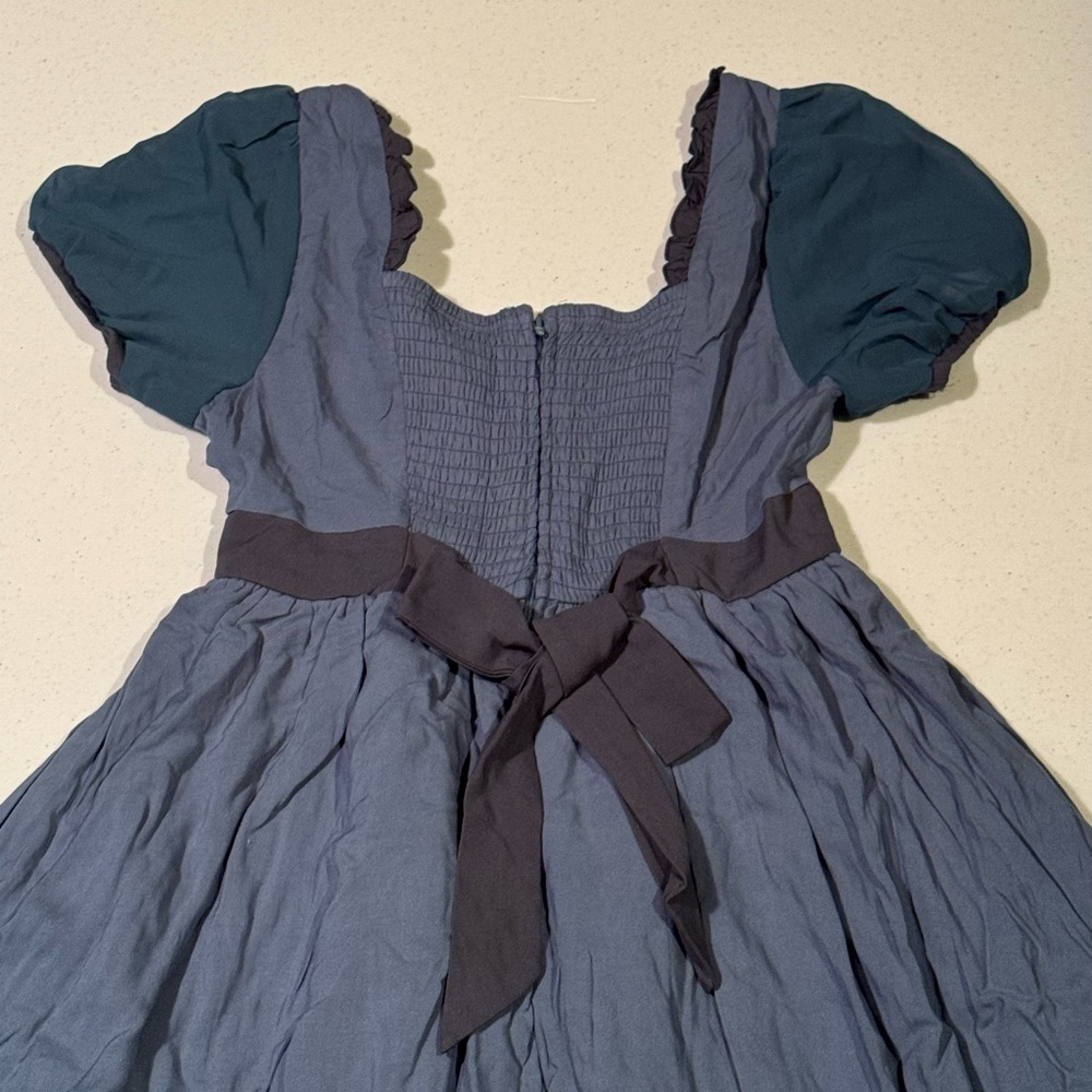 Over The Garden Wall Beatrice Dress. Size S - Picture 9 of 9